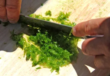 cuisine des algues 