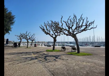 Les Rendez-vous de Saint-Denis_Saint-Denis-d'Oléron