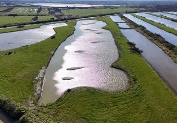 Tous dehors sur Oléron : de la dune au marais