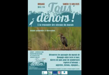 Tous dehors à la rencontre des oiseaux du marais du Brouage