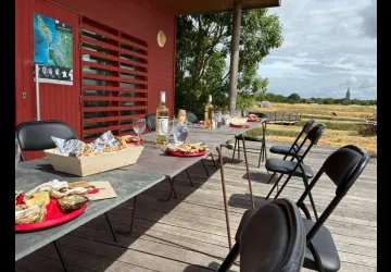 Visite ostréicole "le banc d'Aline"_Marennes-Hiers-Brouage