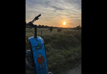 Escapade en trottinette : Good Morning Oléron_La Brée-les-Bains