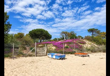 Le Nid D'été_Saint-Georges-d'Oléron