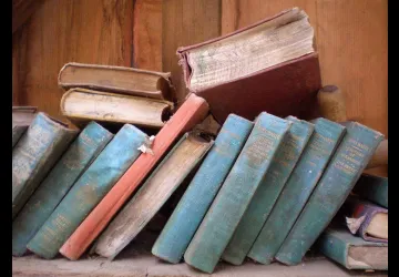 Brocante du livre_Dolus-d'Oléron