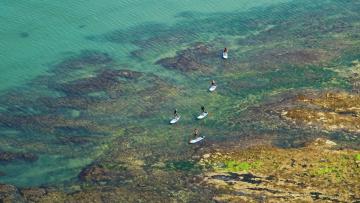 Balade en stand-up paddle